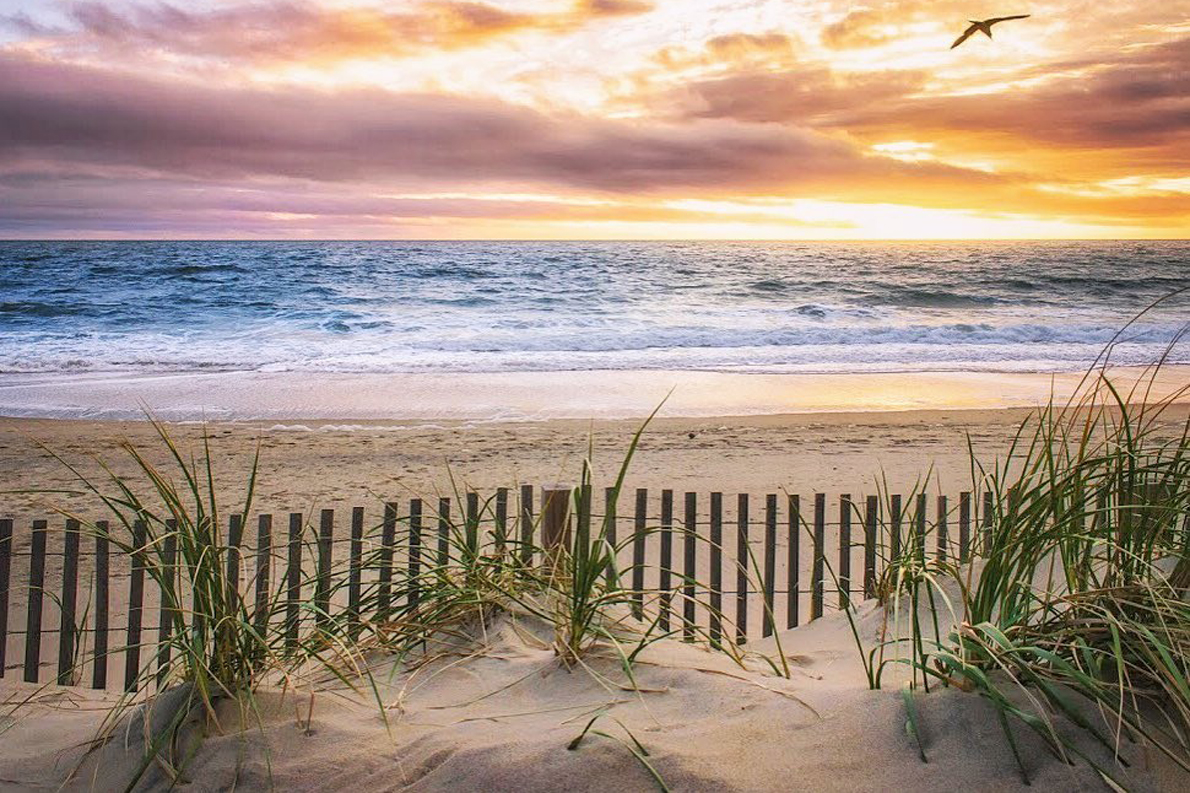 Ocean City Beach and Dunes Ocean City Beach and Dunes