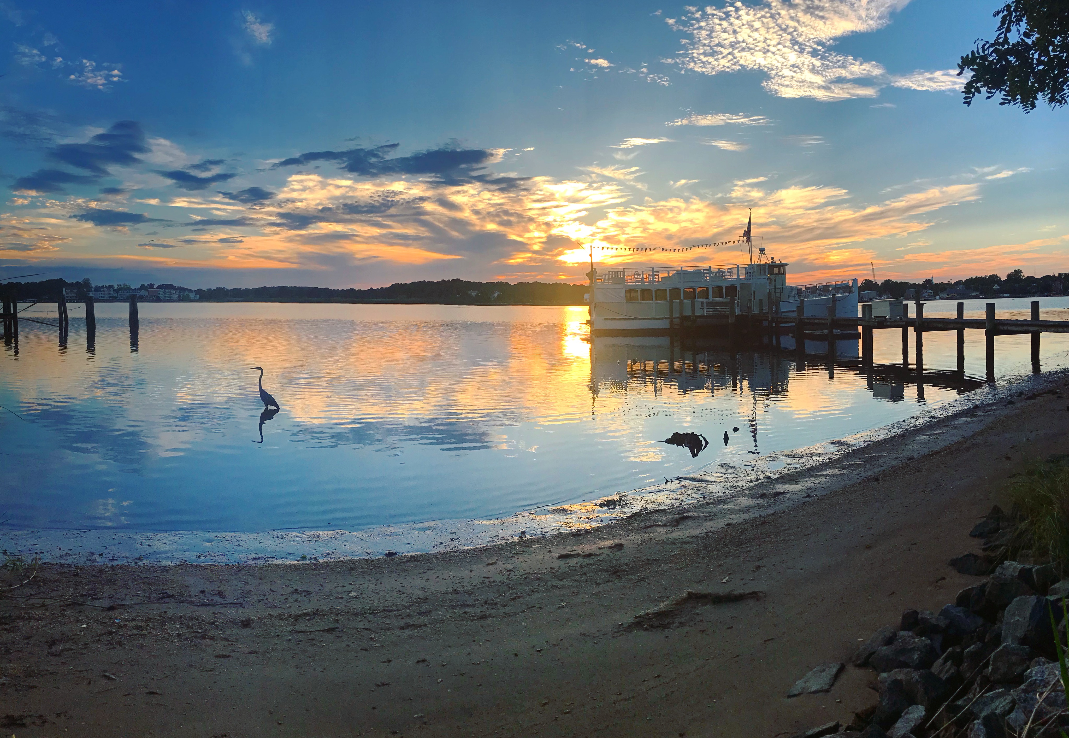 Chester river packet with a blue heron at sunset