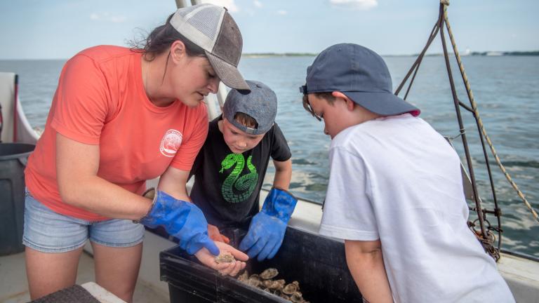 Visitors Inspect the Catch while on a Solomon's Island Heritage Tour