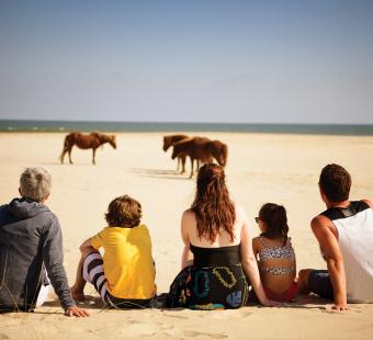 Family and Horses on the Beach