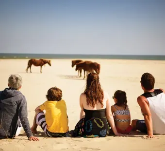 Family watching ponies on Assateague