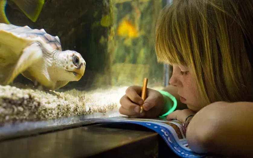 turtle and girl at Aquarium