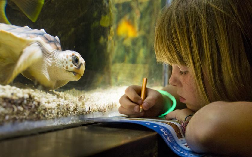 turtle and girl at Aquarium