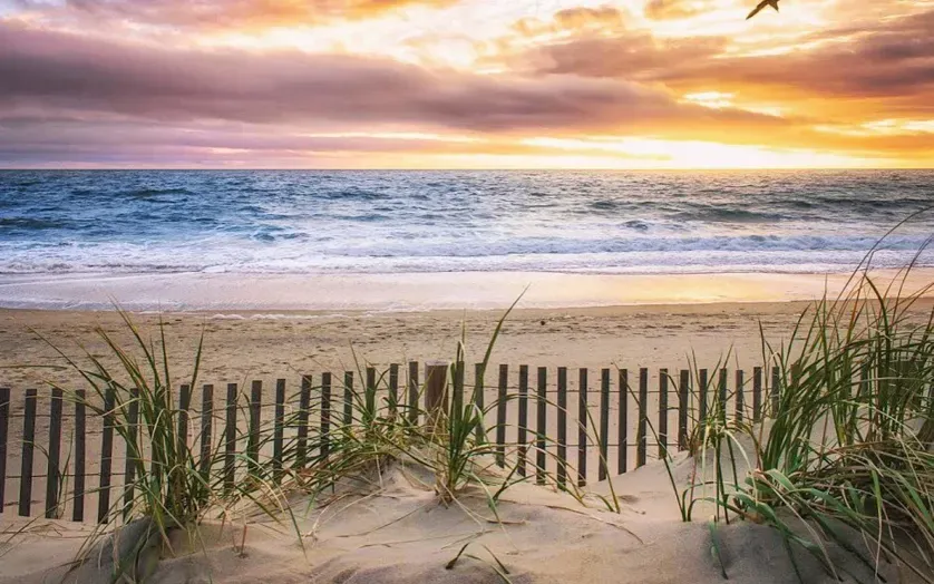 Ocean City Beach and Dunes