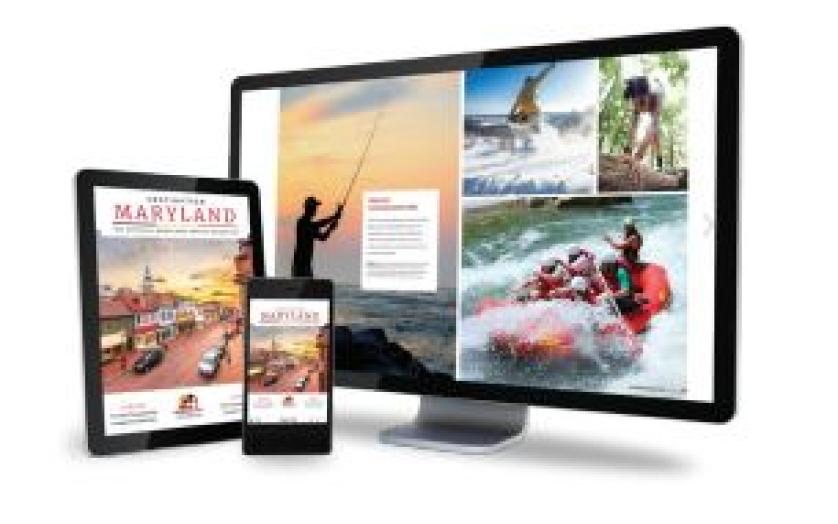 Web devices