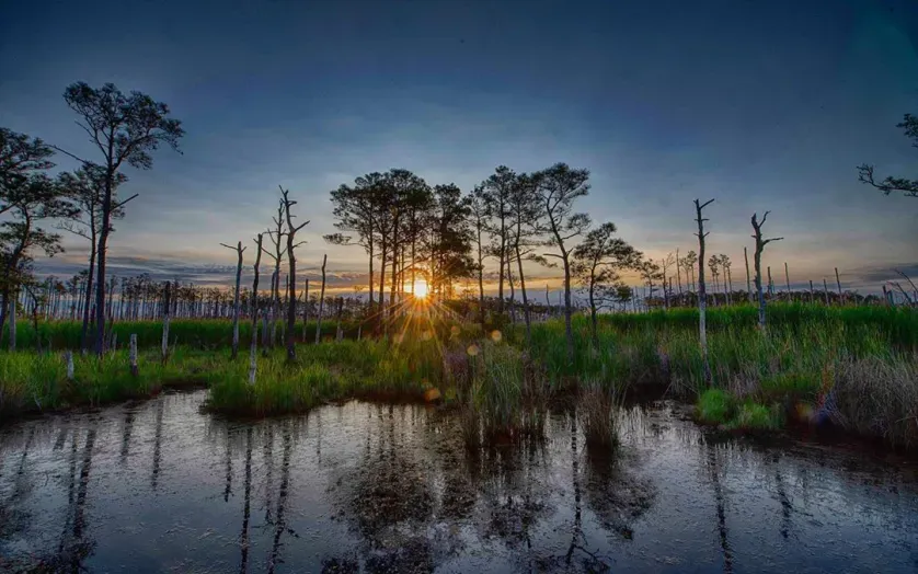 Blackwater National Wildlife Refuge at Sunrise