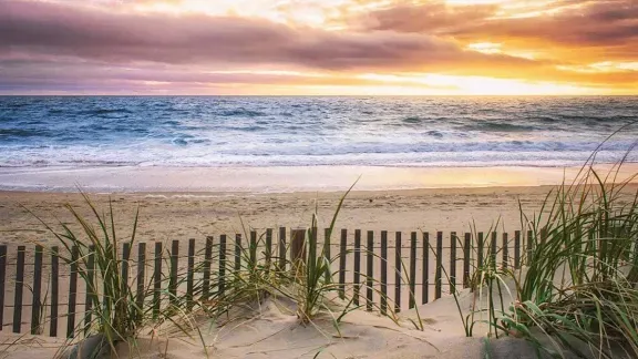 Ocean City Beach and Dunes